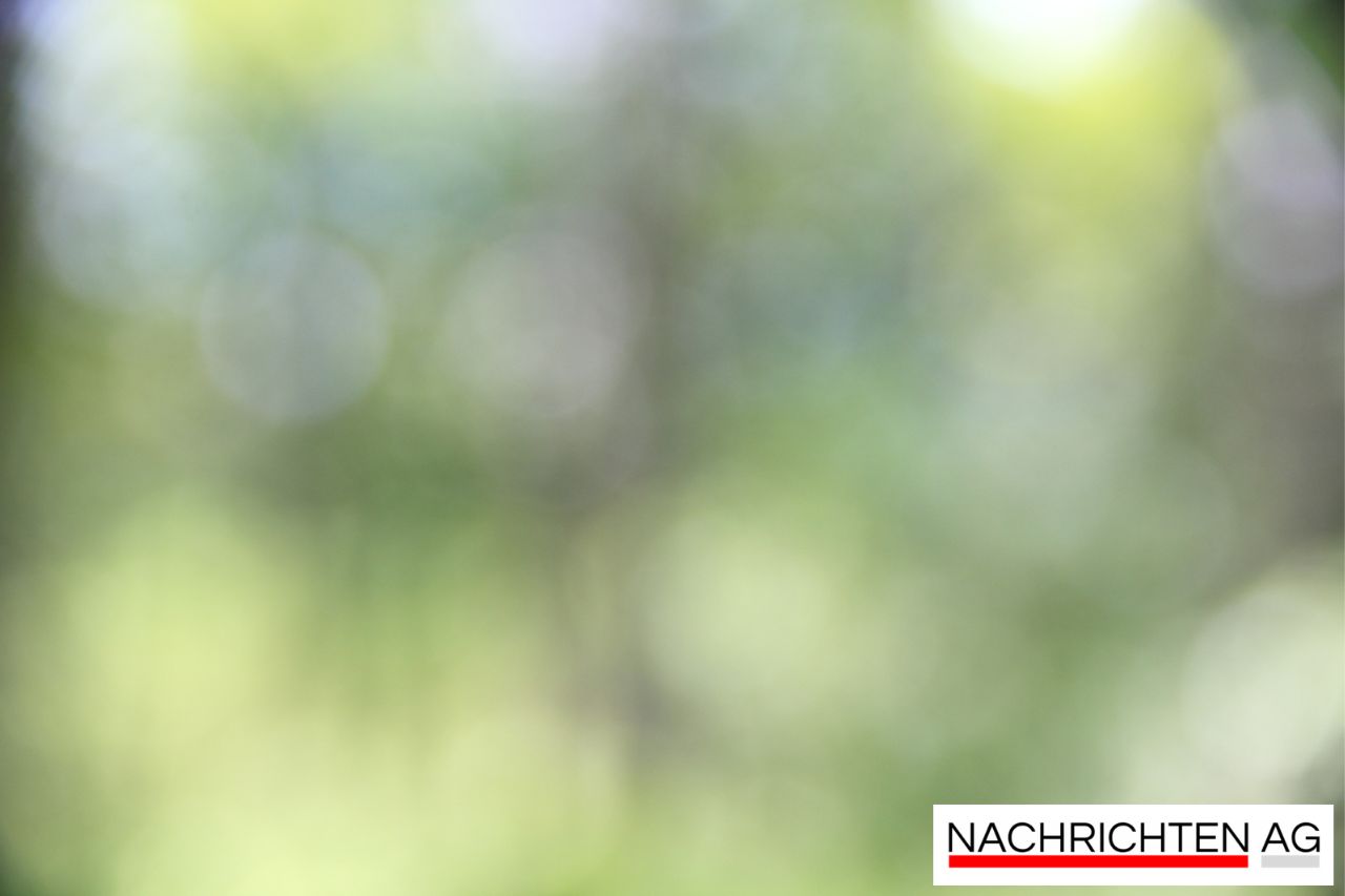 Große Bühne für junge Tischtennis-Talente in Oberboihingen!