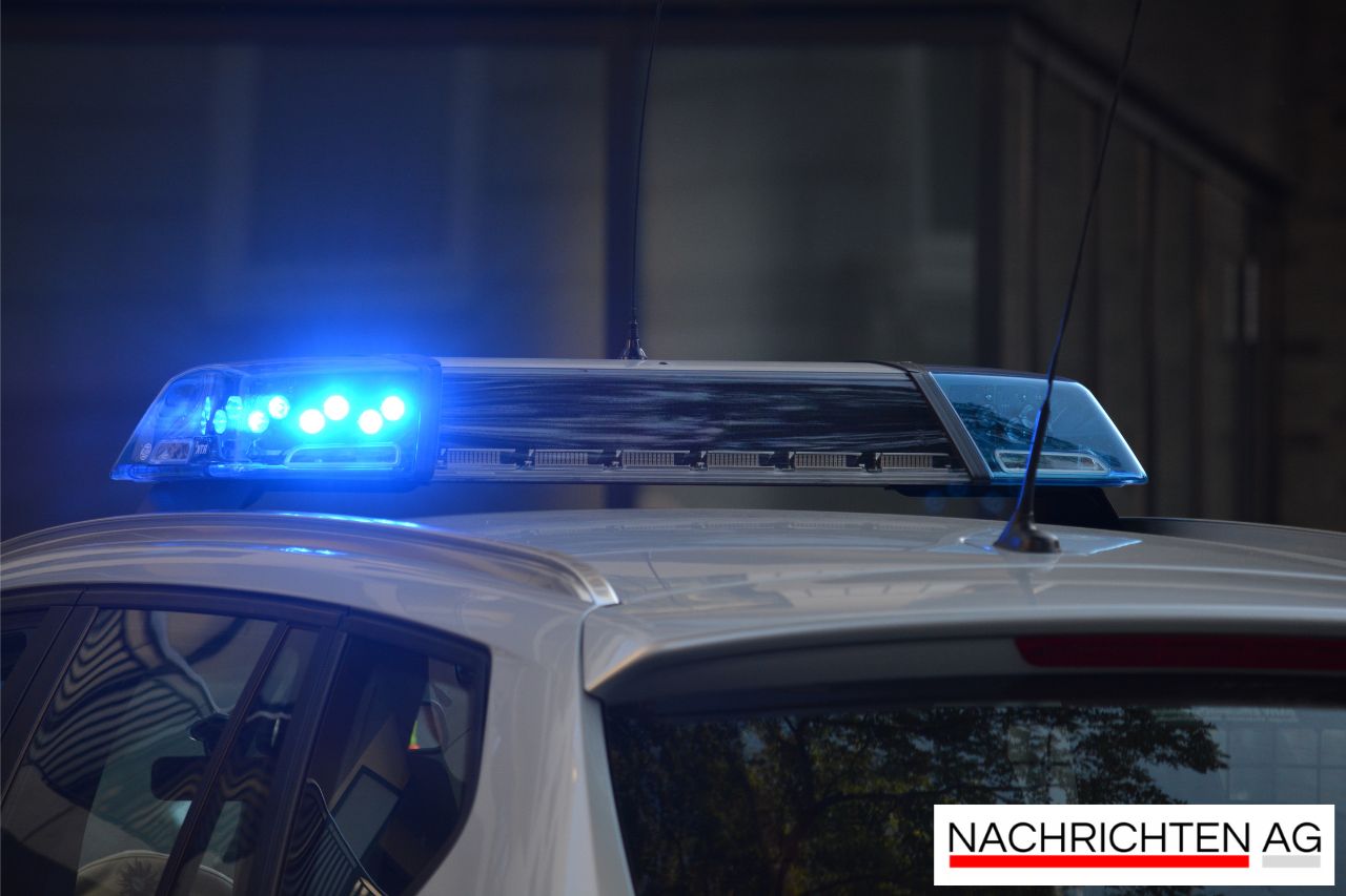 Exotische Bartagamen im Schwarzwald: Tierschutz in Gefahr!