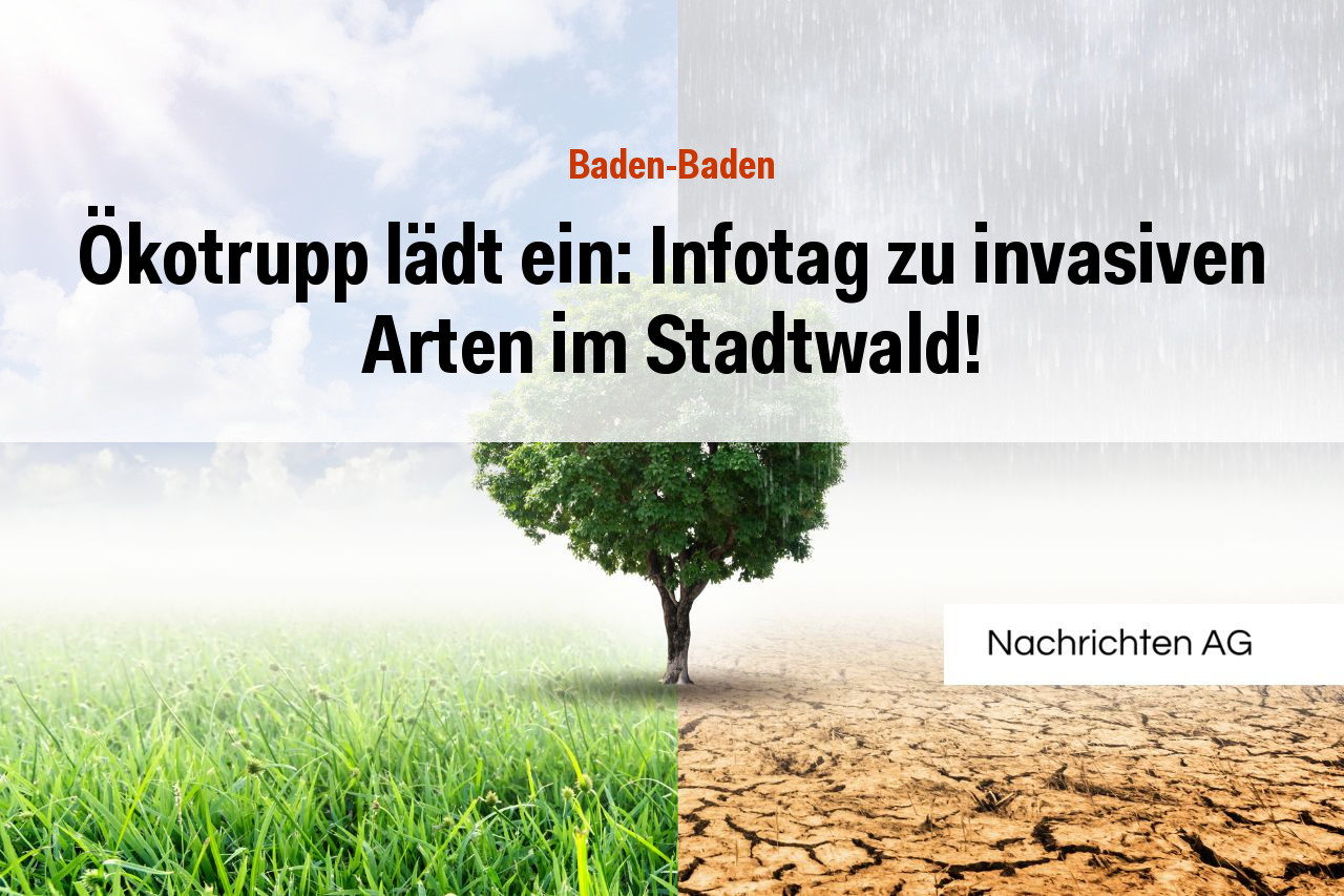 Ökotrupp lädt ein: Infotag zu invasiven Arten im Stadtwald!