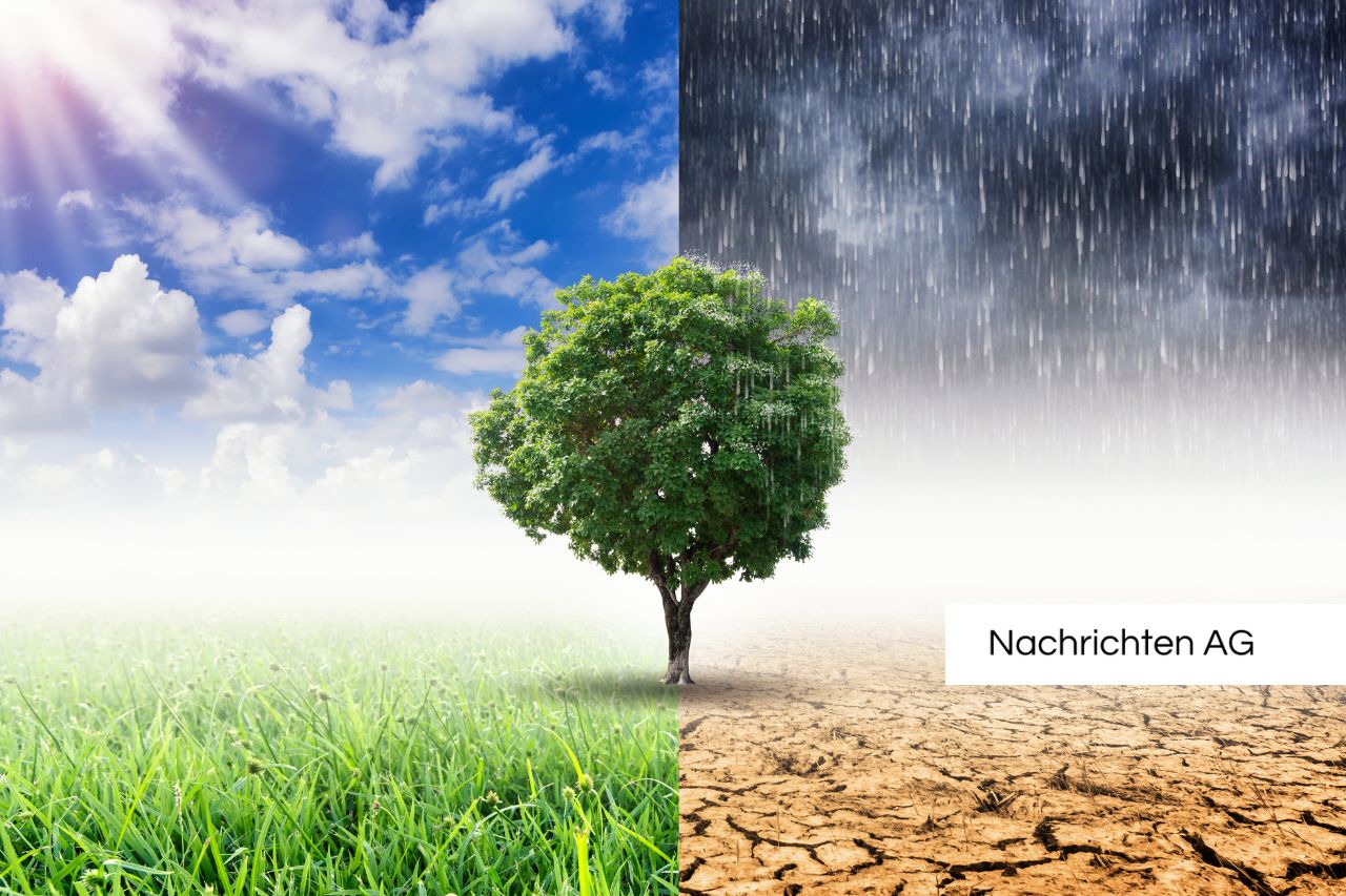 Karlsruhes neue „blau-grüne Strahlenstraßen“ gegen Klimawandel!